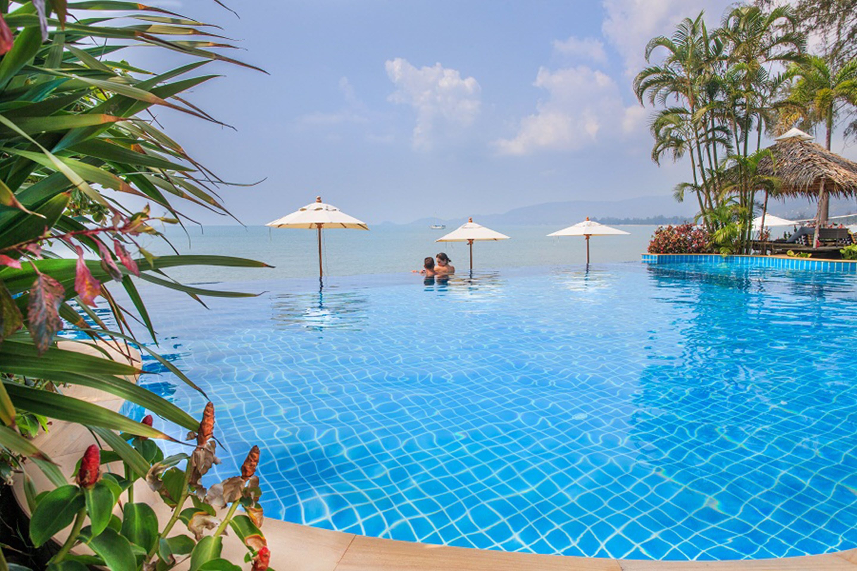 outdoor pool, pool umbrellas, pool loungers