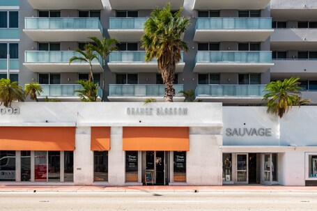 Boulan South Beach - Image 15