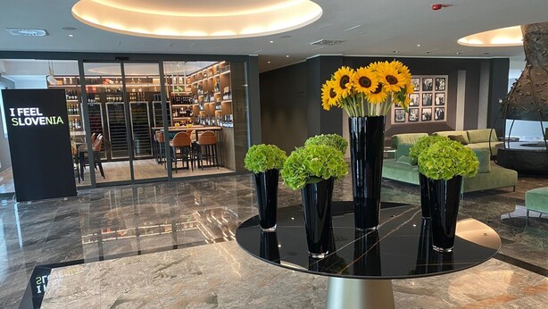 Lobby lounge - Hotel Brdo (Kranj)
