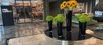 Hotel Brdo