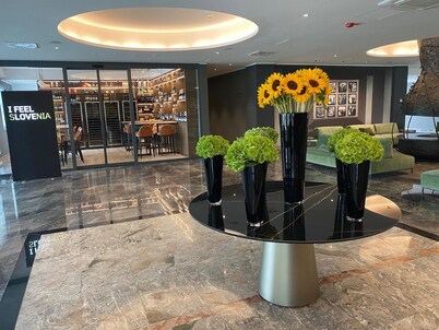 Hotel Brdo