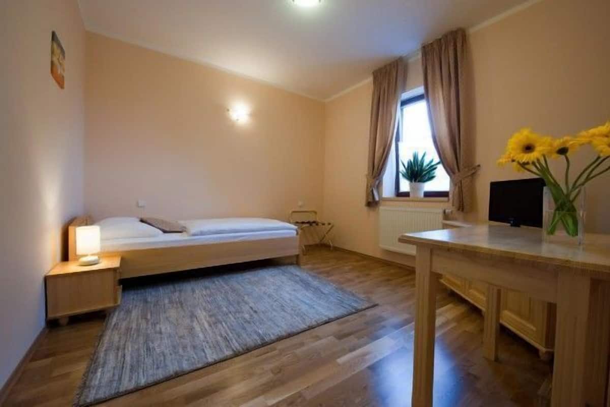 Economy eenpersoonskamer | Een strijkplank/strijkijzer, gratis wifi, beddengoed