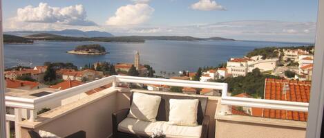 Vista desde la propiedad