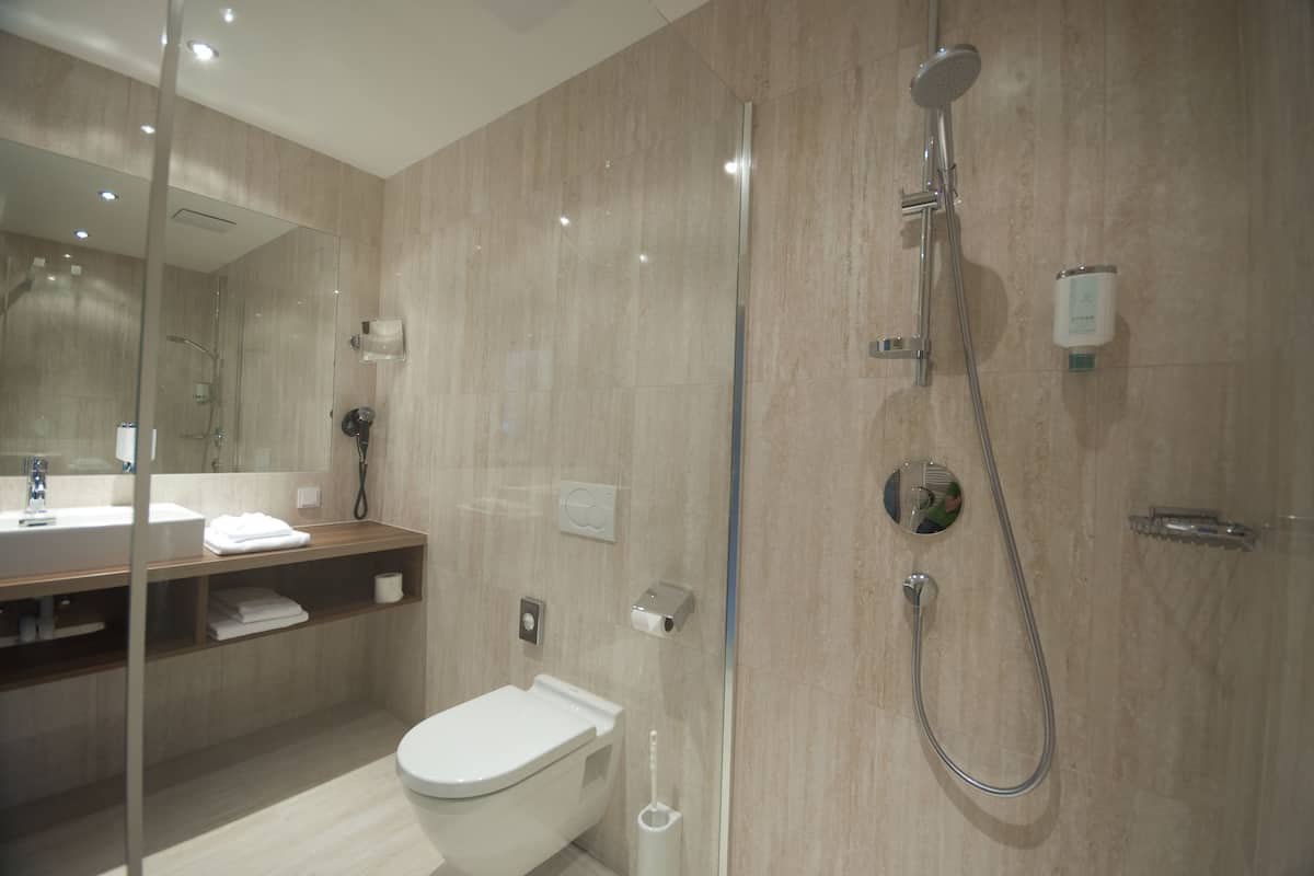 shower, free toiletries, hair dryer, towels