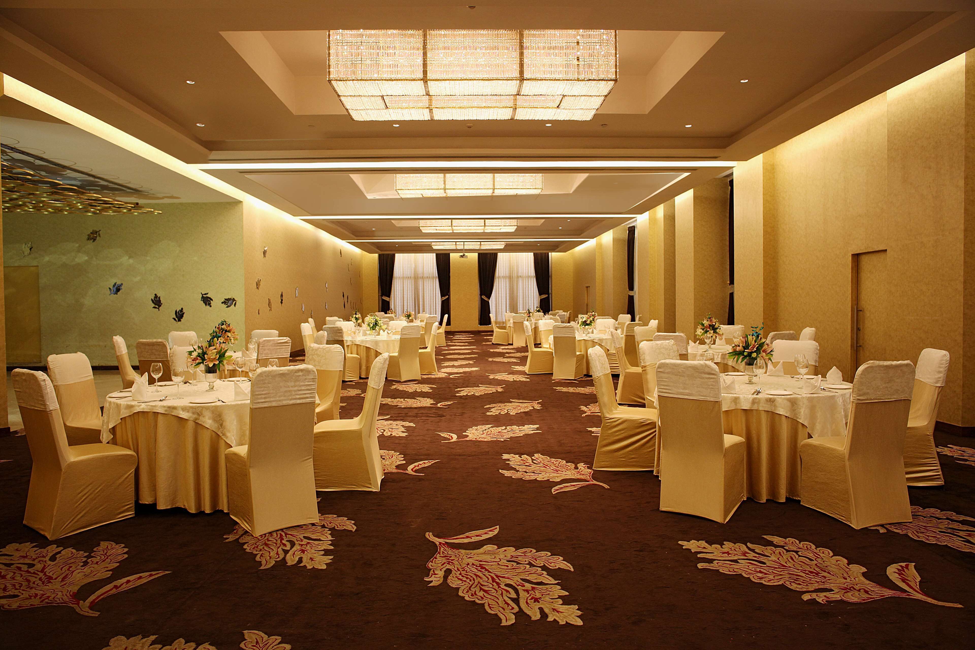 A banquet hall with round tables, white chairs, and a carpeted floor.