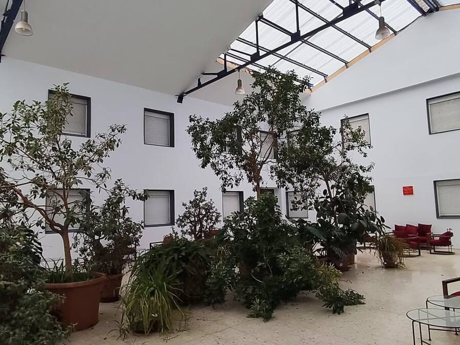 Teras/patio