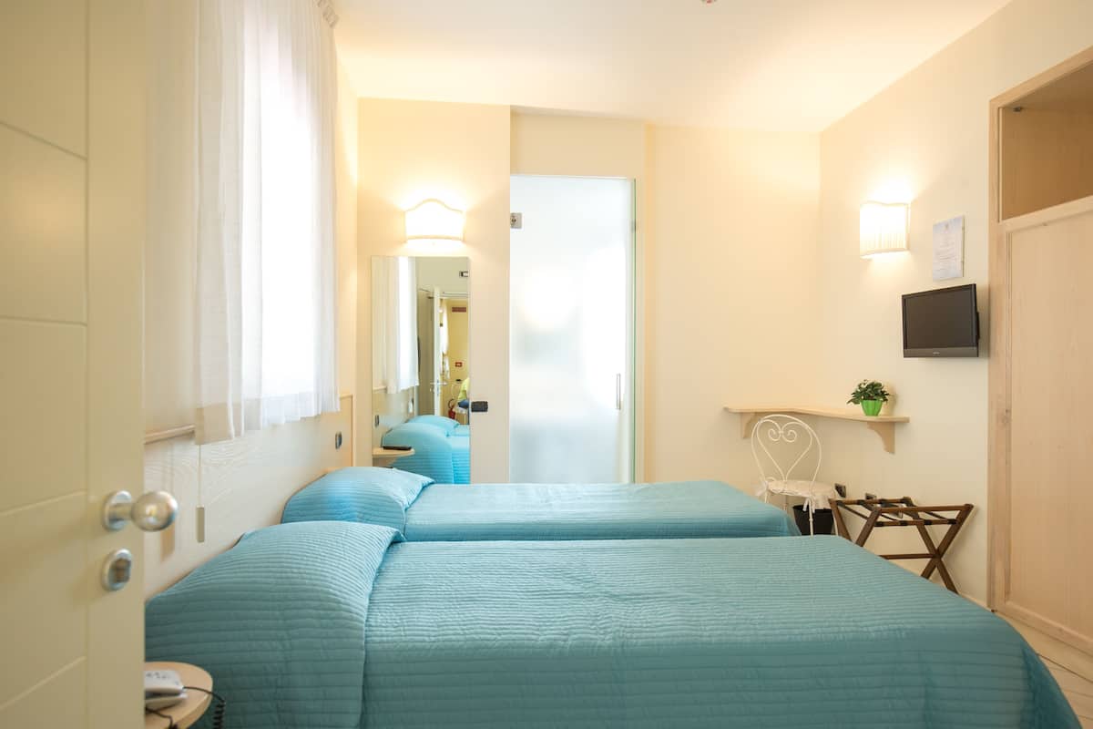 A hotel room with two beds, a TV, a mirror, and a small desk with a plant.