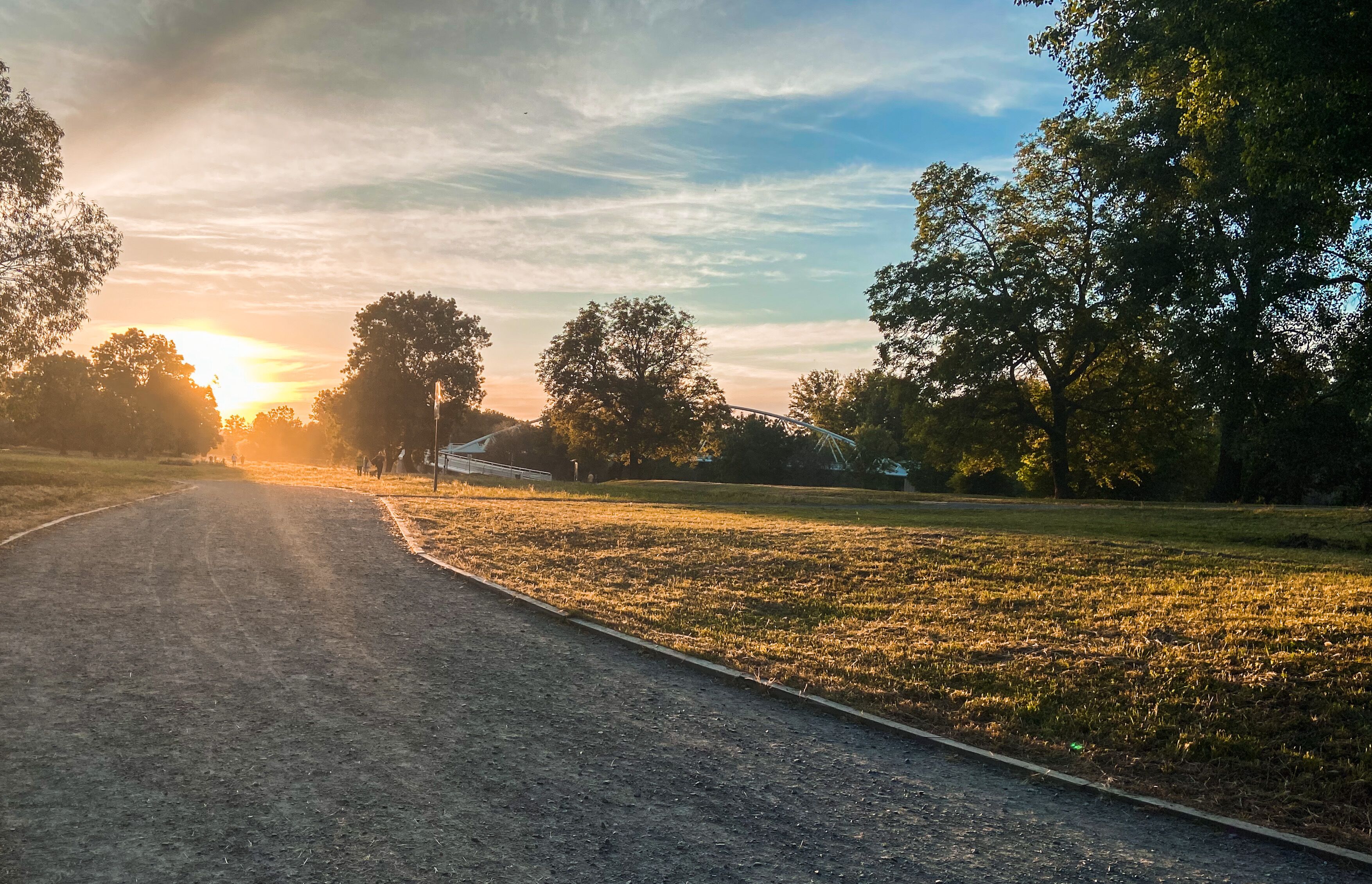 A paved path in a park with trees and a sunset in the background.