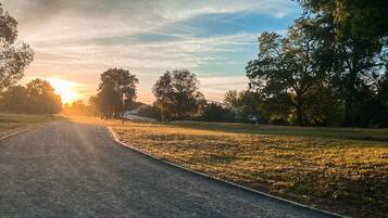 A paved path in a park with trees and a sunset in the background.
