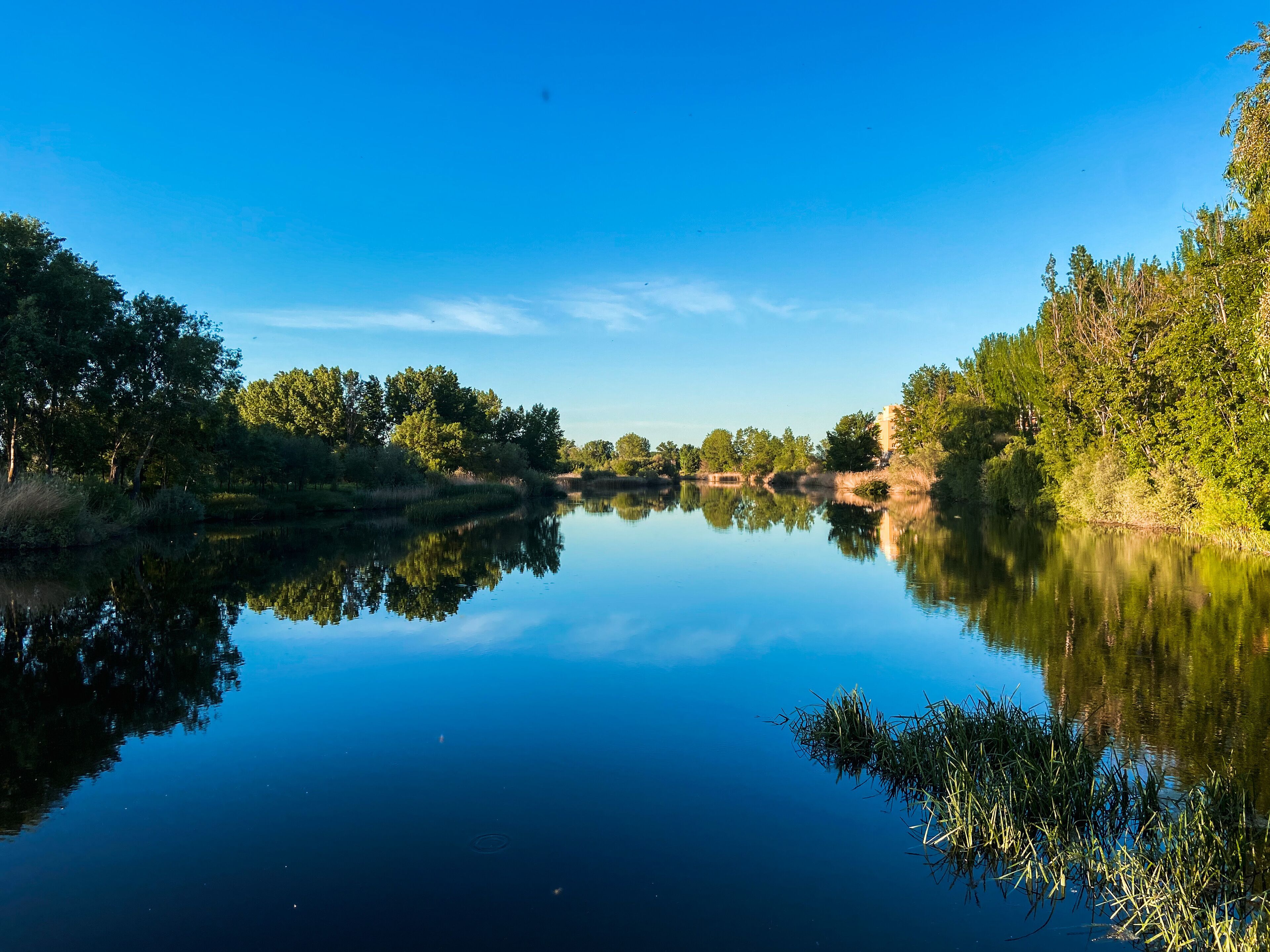 A calm river with dense trees on both sides, reflecting the sky and surrounding foliage.