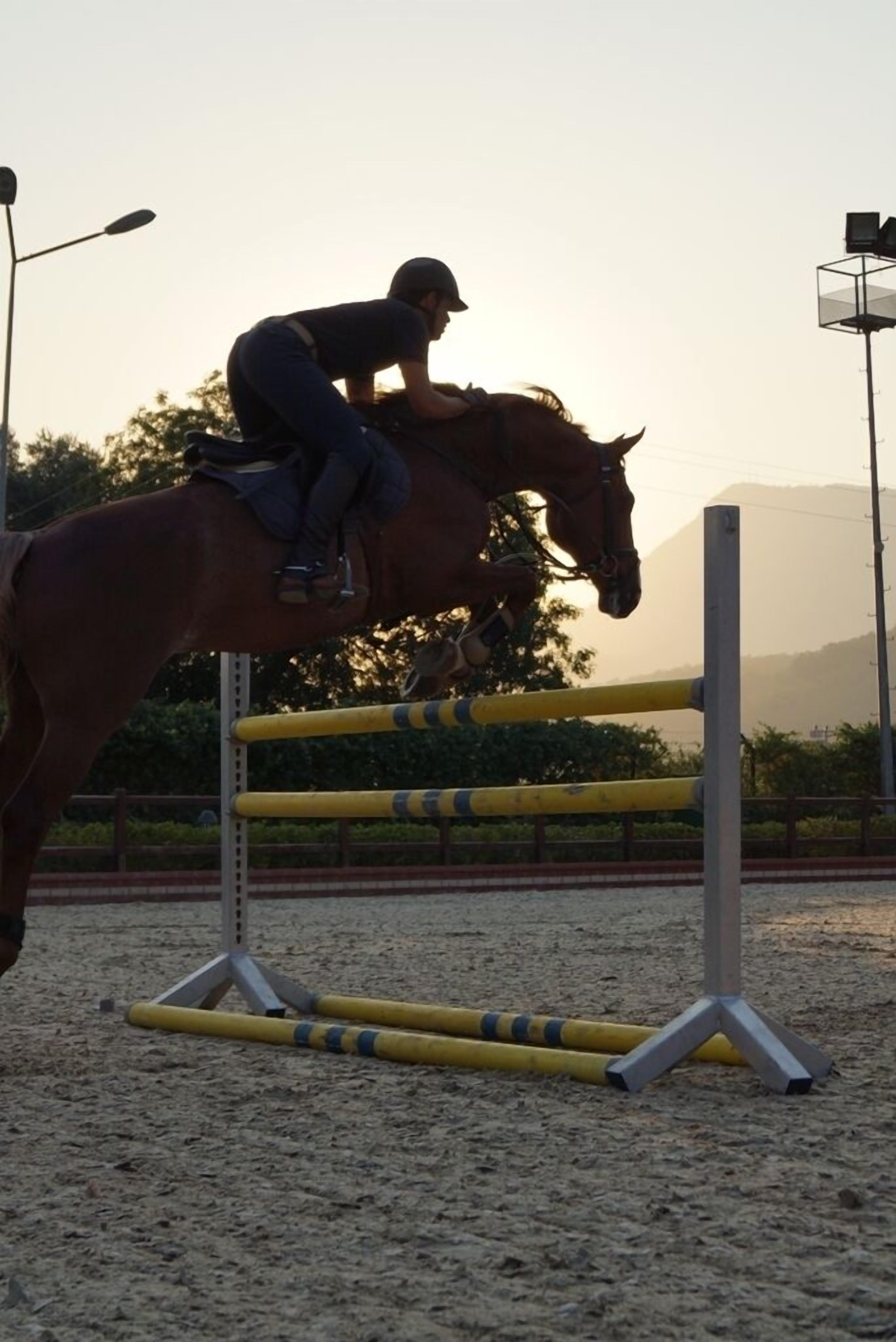 A horse and rider jumping over an obstacle in an outdoor arena.