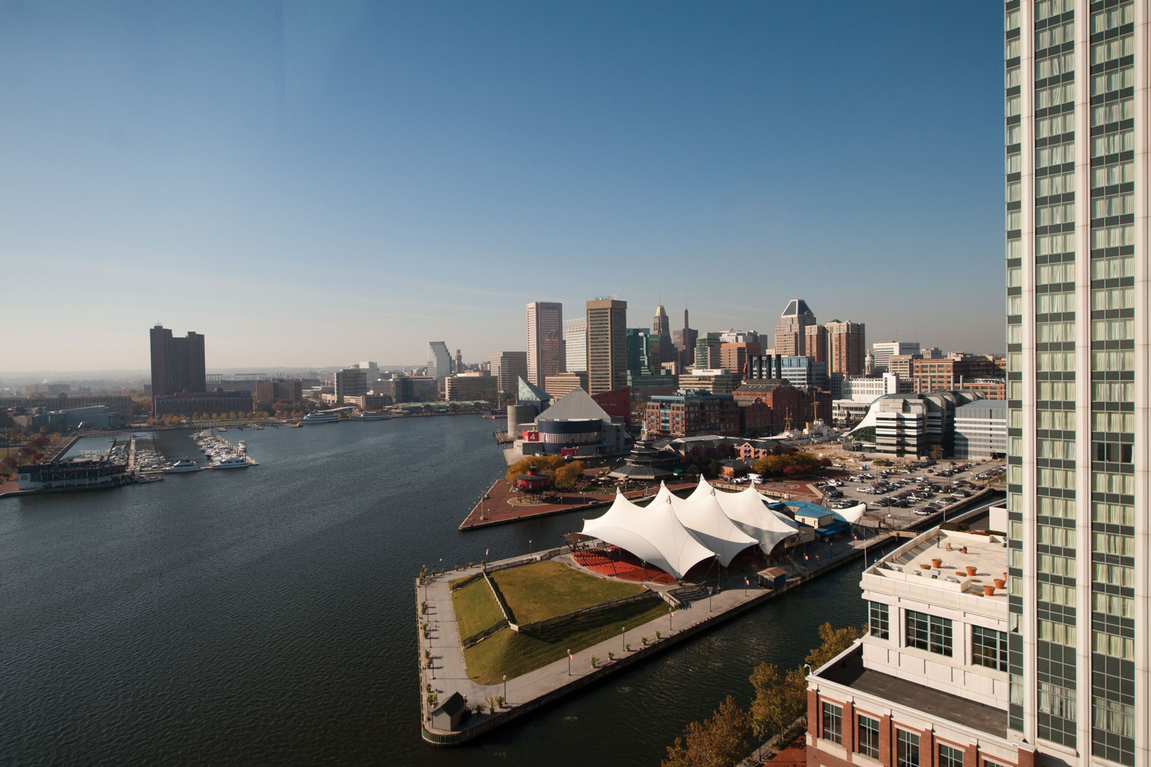 four seasons, executive suite, 1 king bed, harbour view | view from room