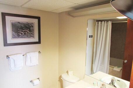 Arbors at Island Landing Hotel Suites - Image 81