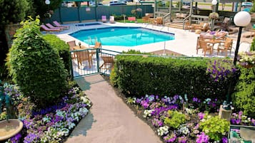 Outdoor pool, sun loungers