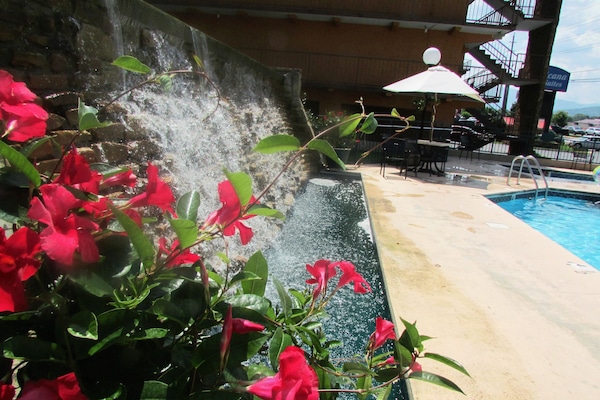 Piscina a l'aire lliure i gandules
