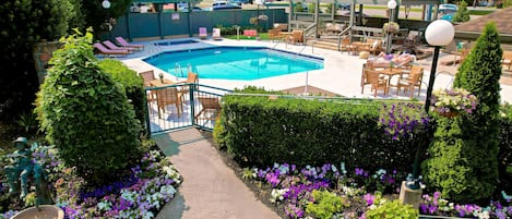 Outdoor pool, pool loungers