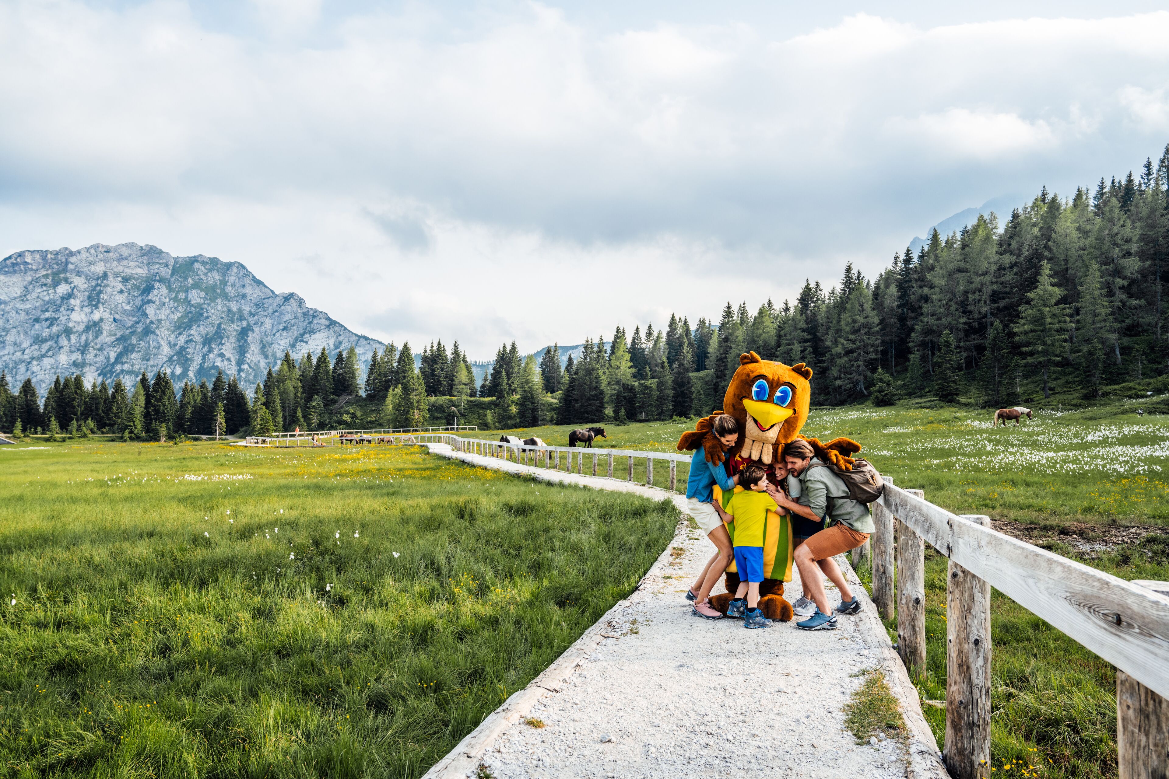 A wooden pathway in a grassy field with a mountain in the background.