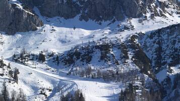 Ein Berg mit Skipiste, felsigem Gelände und vereinzelten Bäumen.