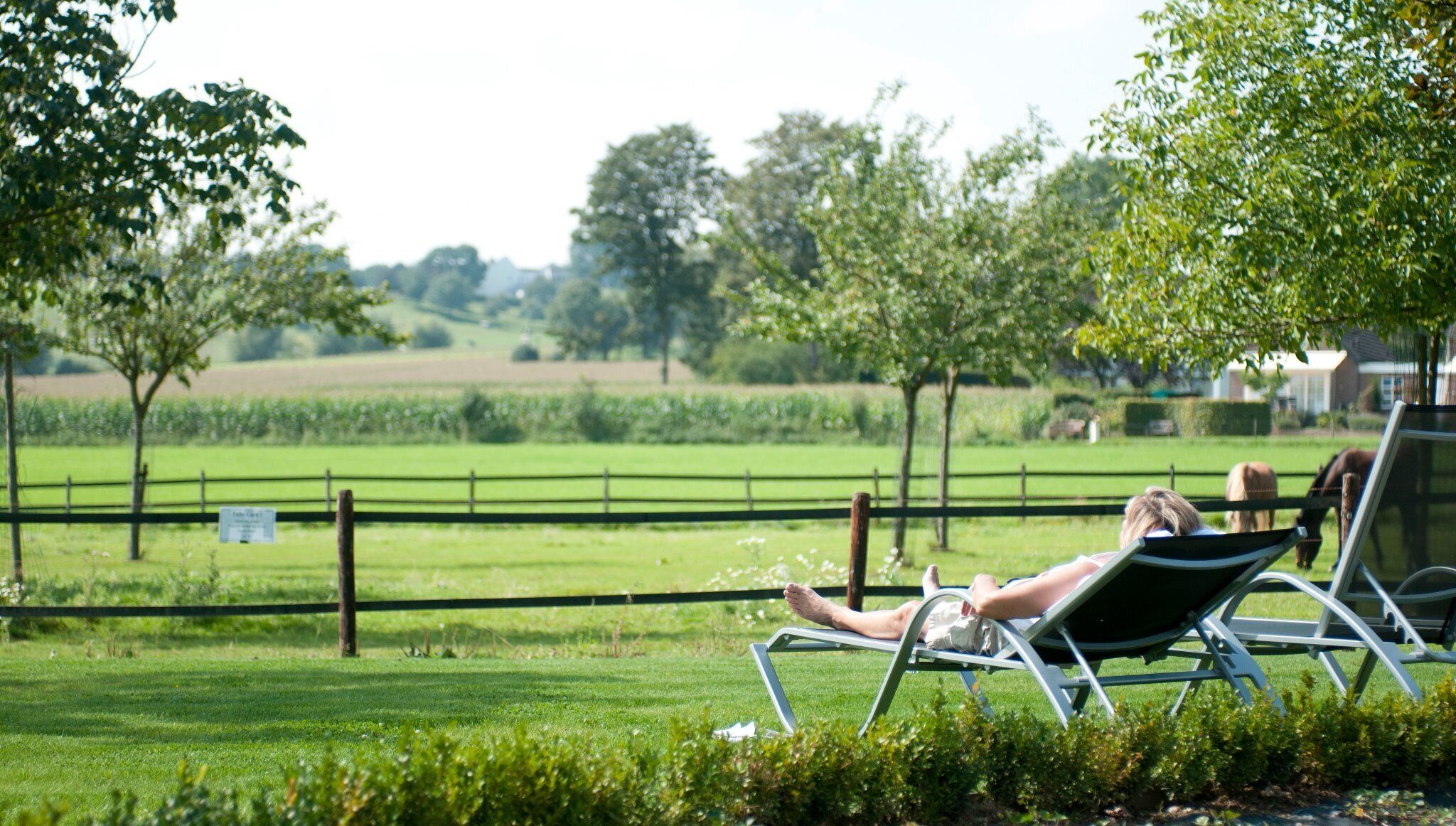 city view from property