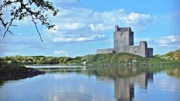 A swan on a calm lake with a castle in the background.