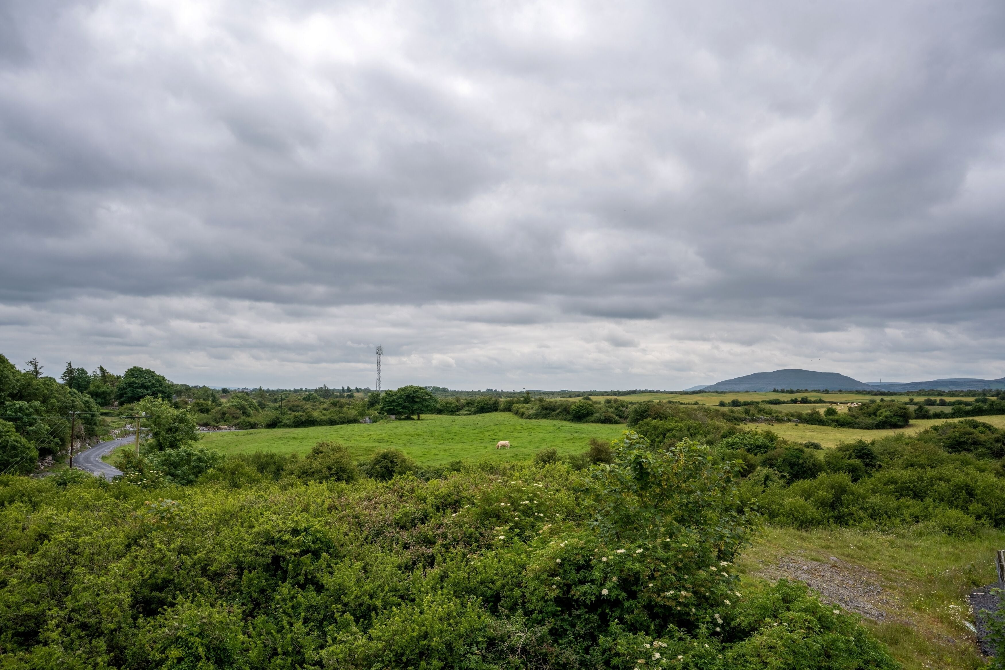 Foto - Kinvara Guesthouse