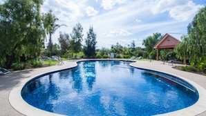 A large, oval-shaped swimming pool with a clear blue water surface, surrounded by a paved deck and lush greenery. - Perricoota Vines Retreat (Moama)