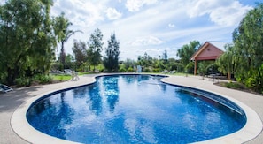 Outdoor pool, pool loungers