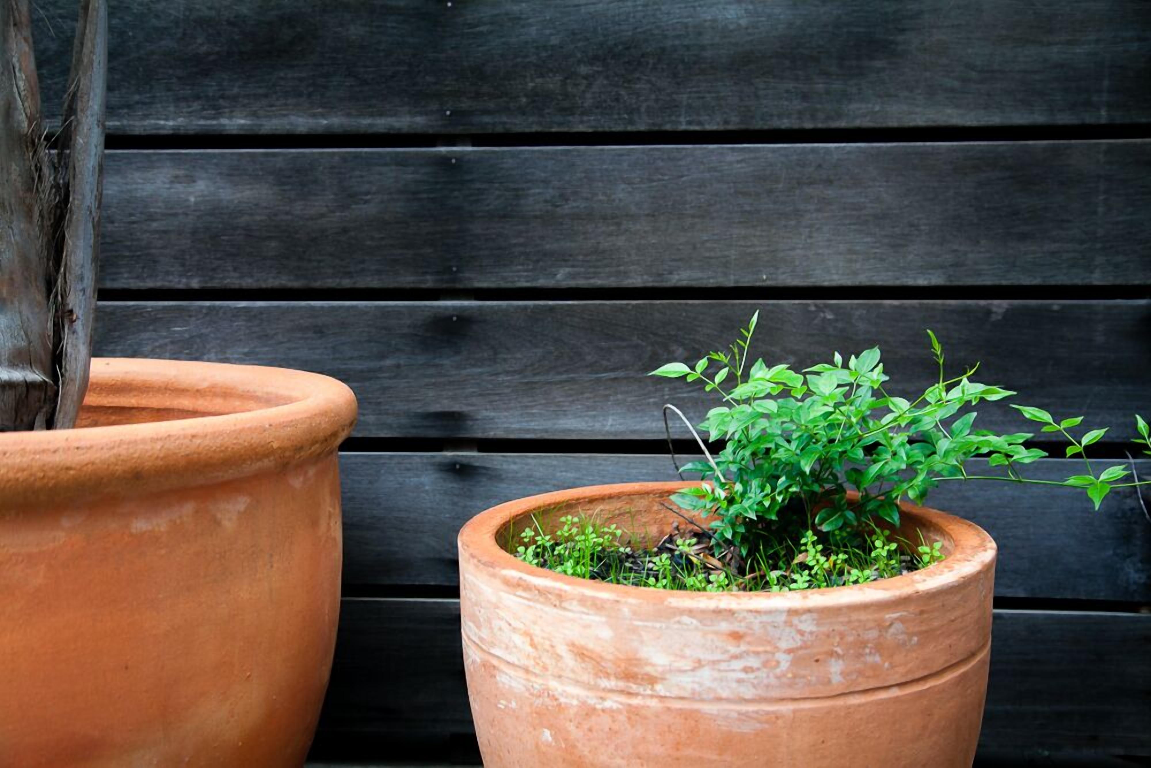 soundproofing, iron/ironing board, bed sheets