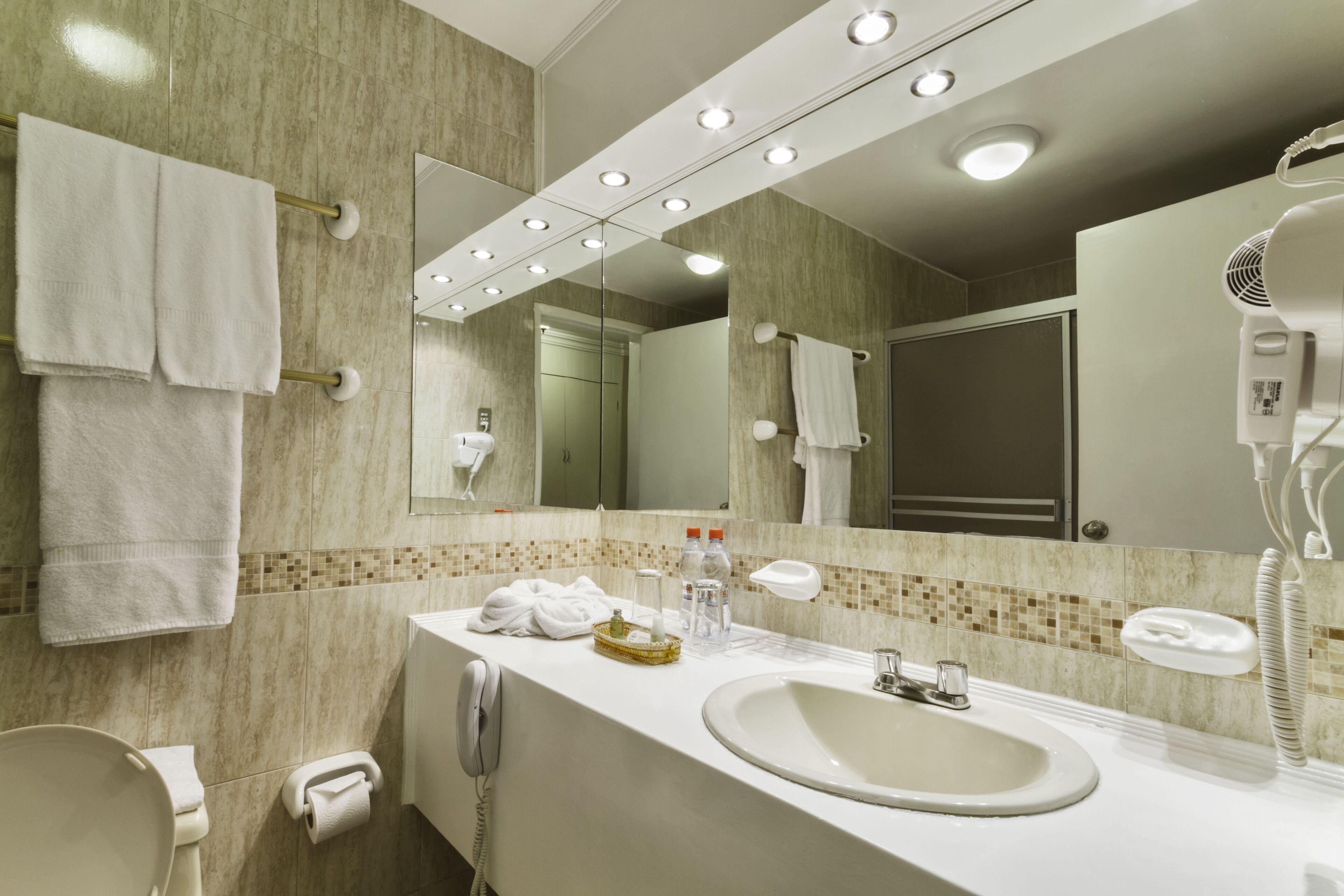 suite king | bathroom | shower, free toiletries, towels