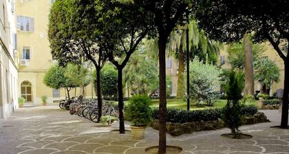 Quo Vadis Bed & Breakfast