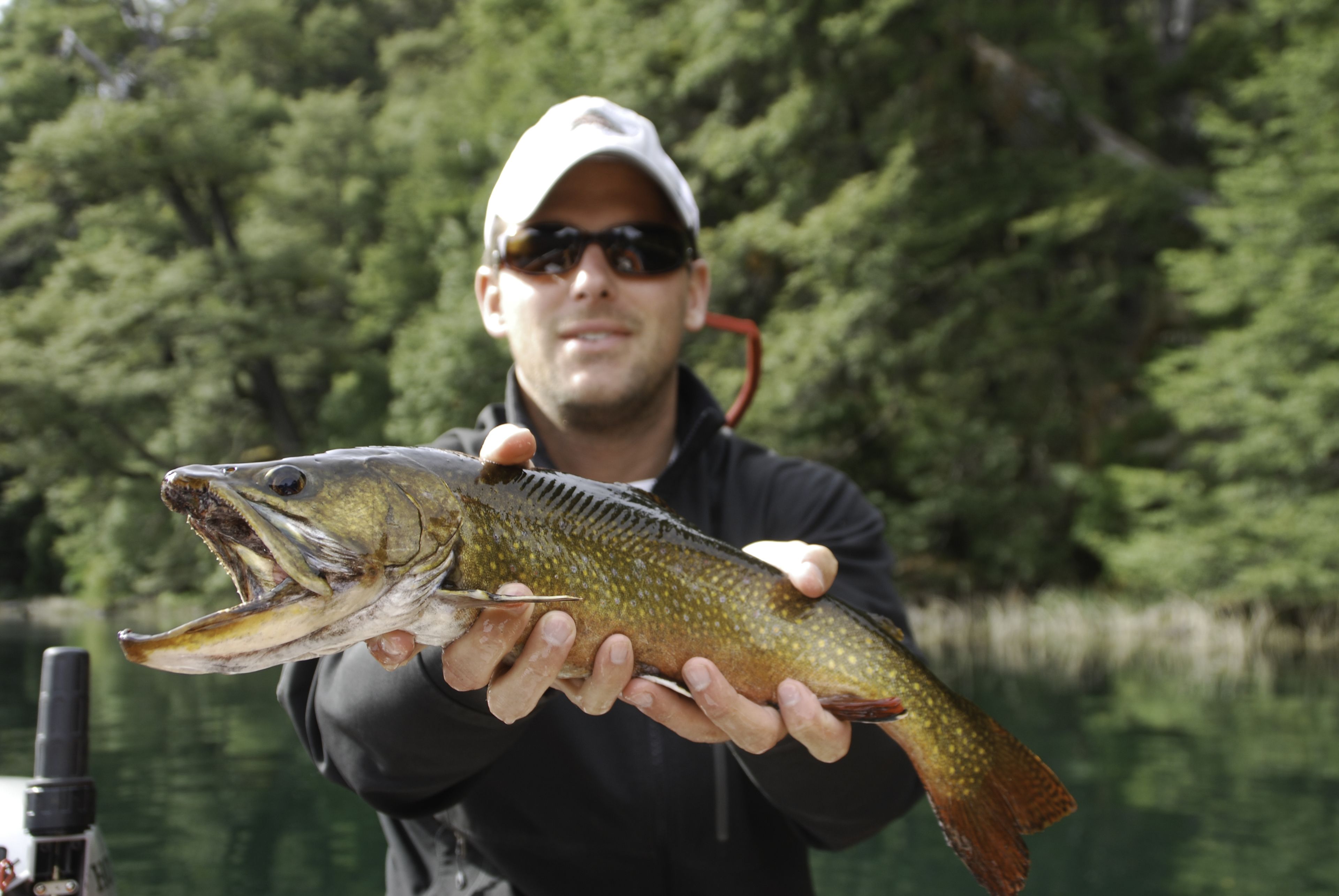 Foto - Cabañas Villa Pañil