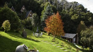 A serene garden with stone pathways, a rustic house, and a large tree with autumn foliage. - Cabañas Villa Pañil (San Carlos de Bariloche)