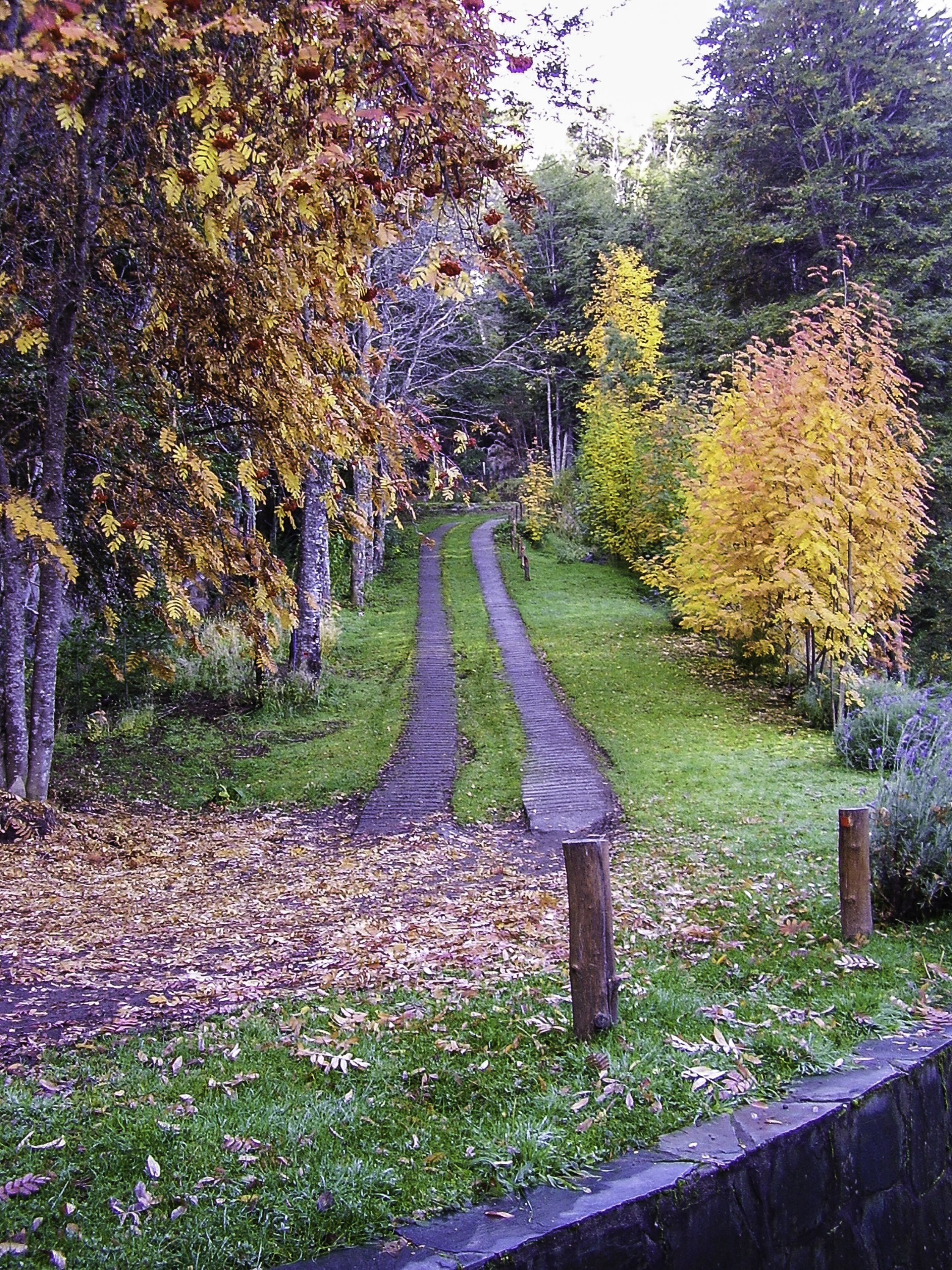 Foto - Cabañas Villa Pañil
