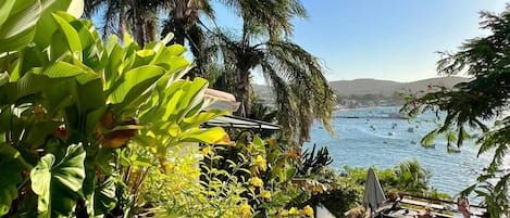 A poolside area with a view of the sea, surrounded by lush greenery and palm trees.