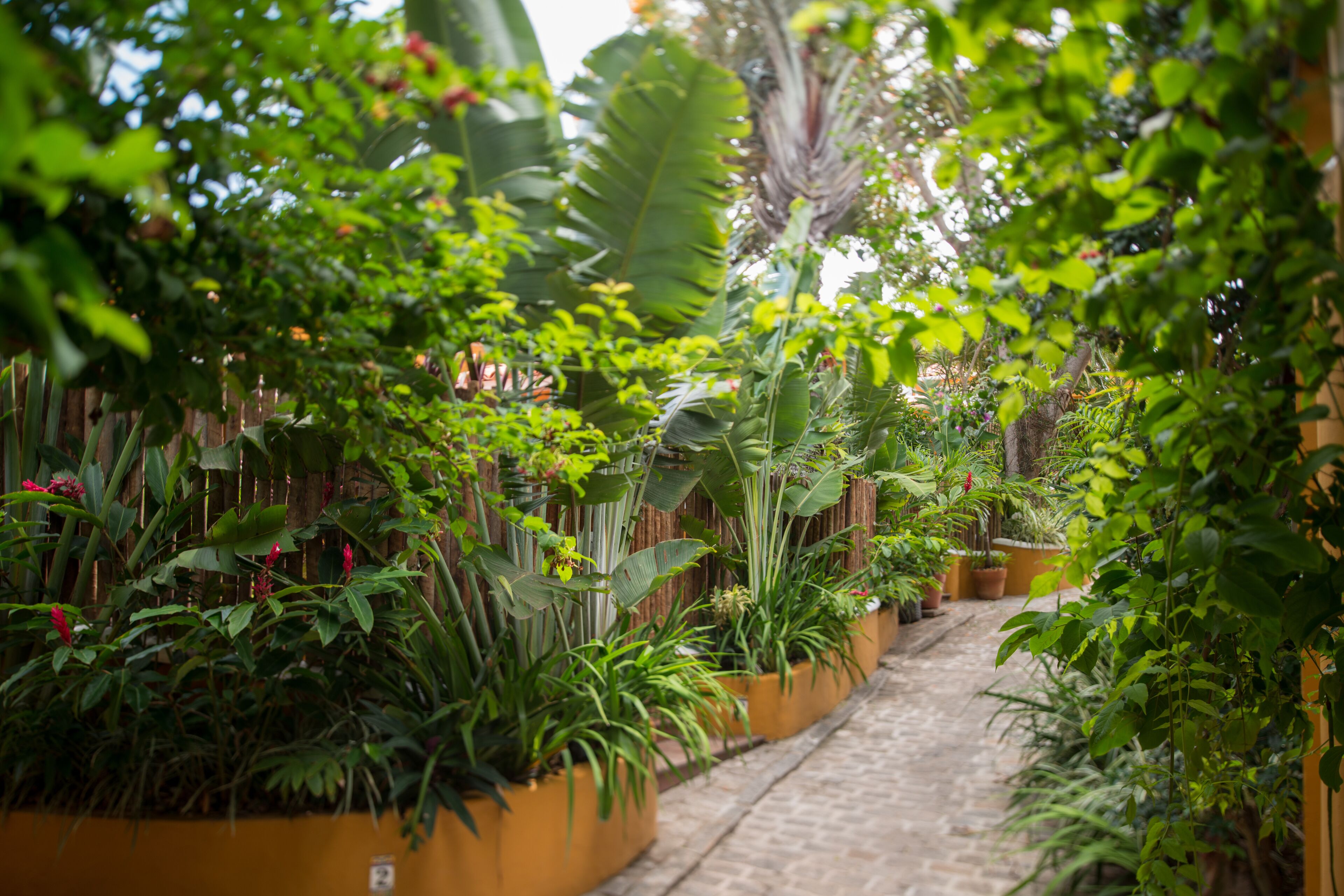 Habitación clásica | Vista al jardín