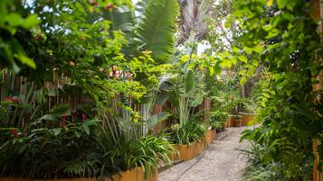 Habitación clásica | Vista al jardín