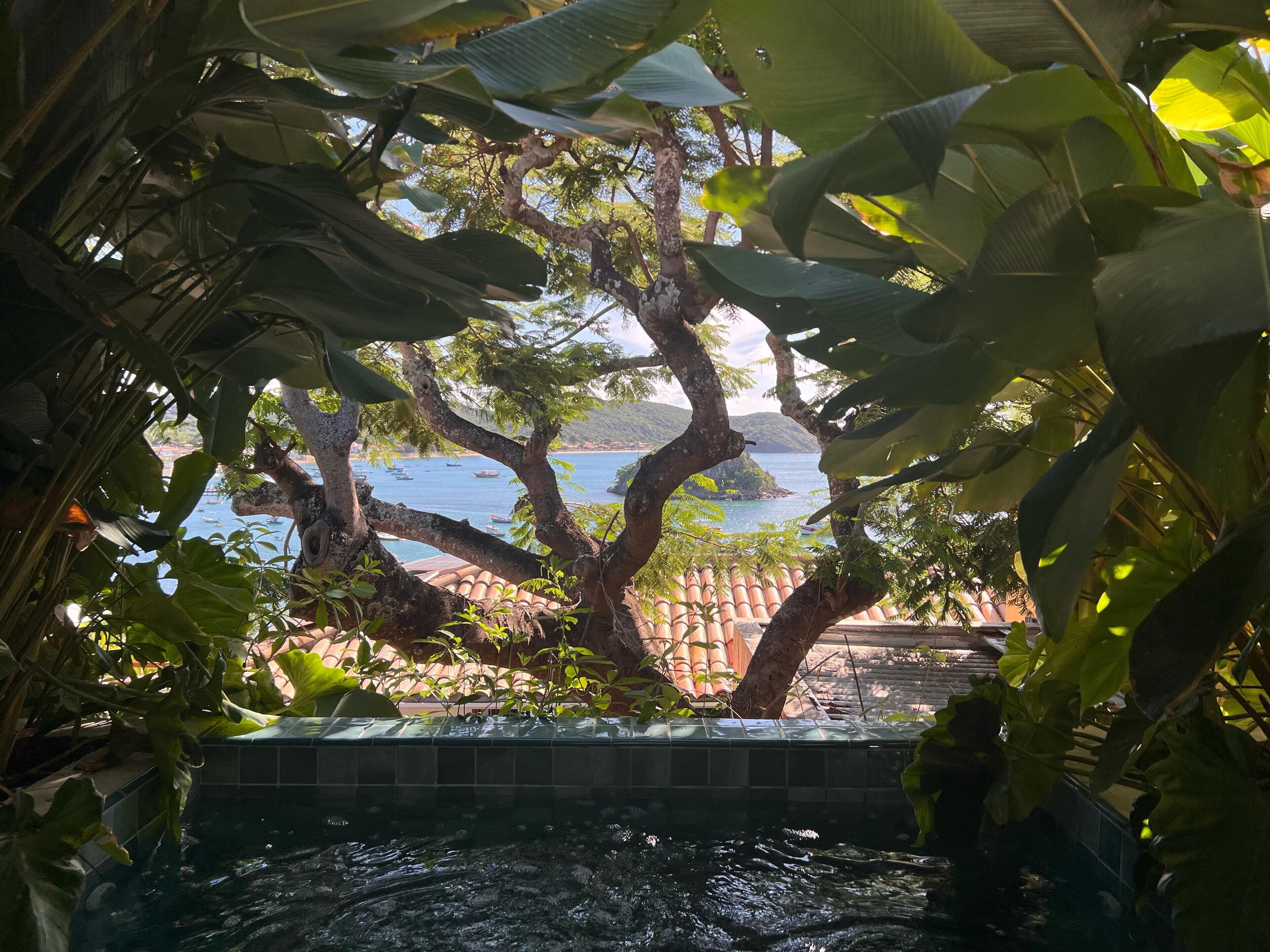 Visão através de vegetação densa para uma área costeira com barcos e edifícios com telhados de terracota.