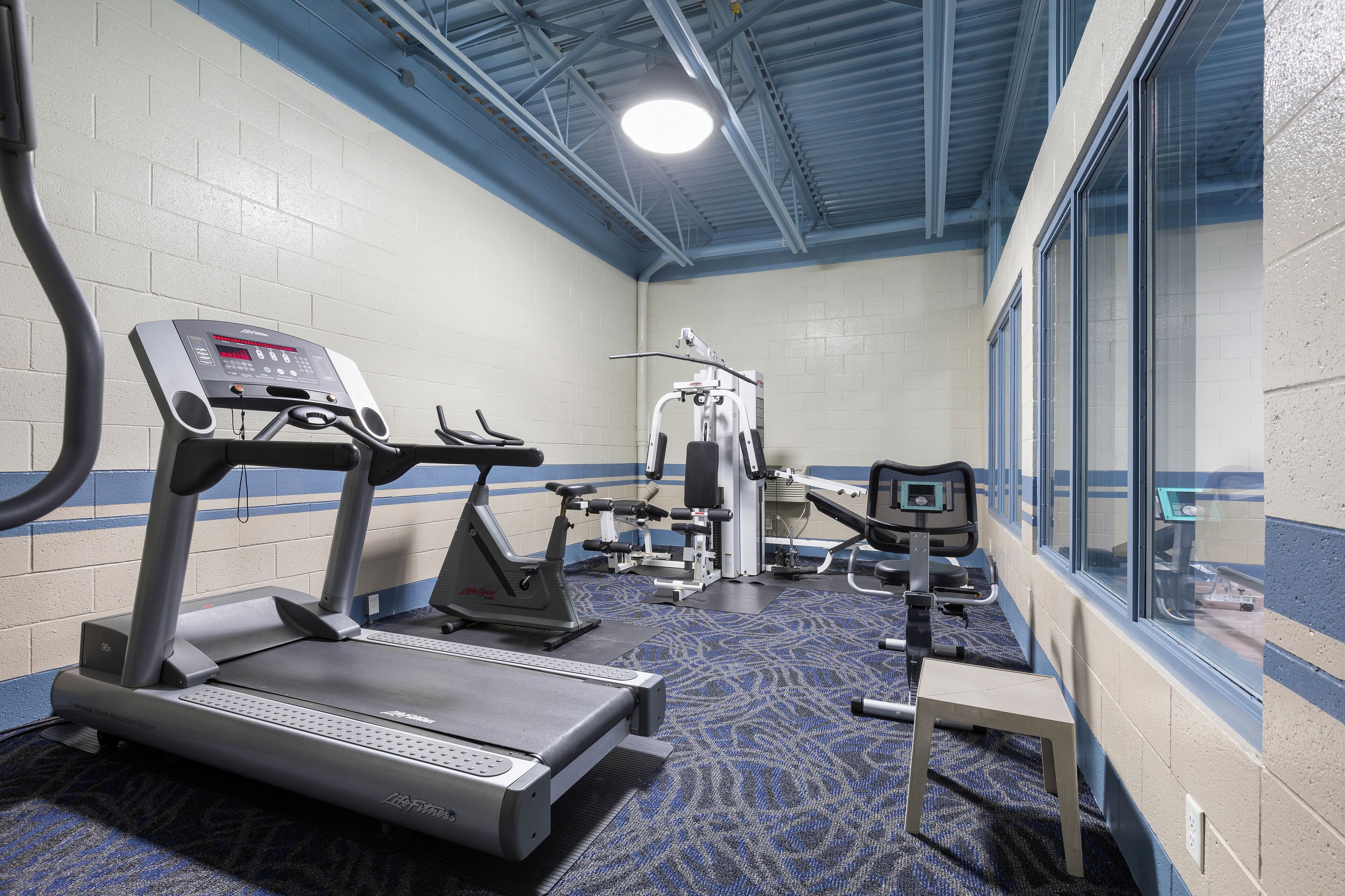 A gym with treadmills, weight machines, and a blue carpeted floor.