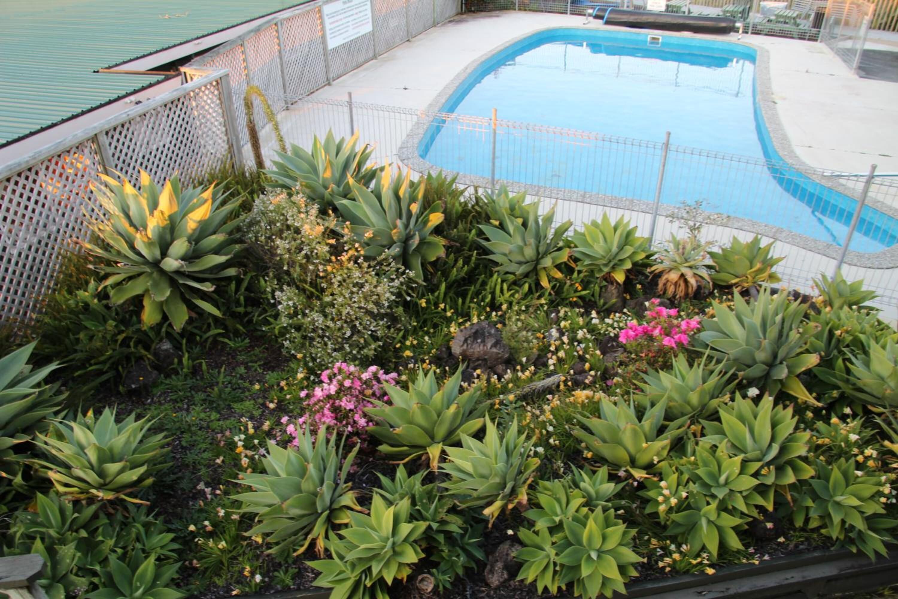 A swimming pool surrounded by a variety of plants and a white fence.