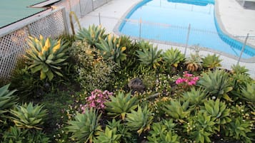 A swimming pool surrounded by a variety of plants and a white fence.