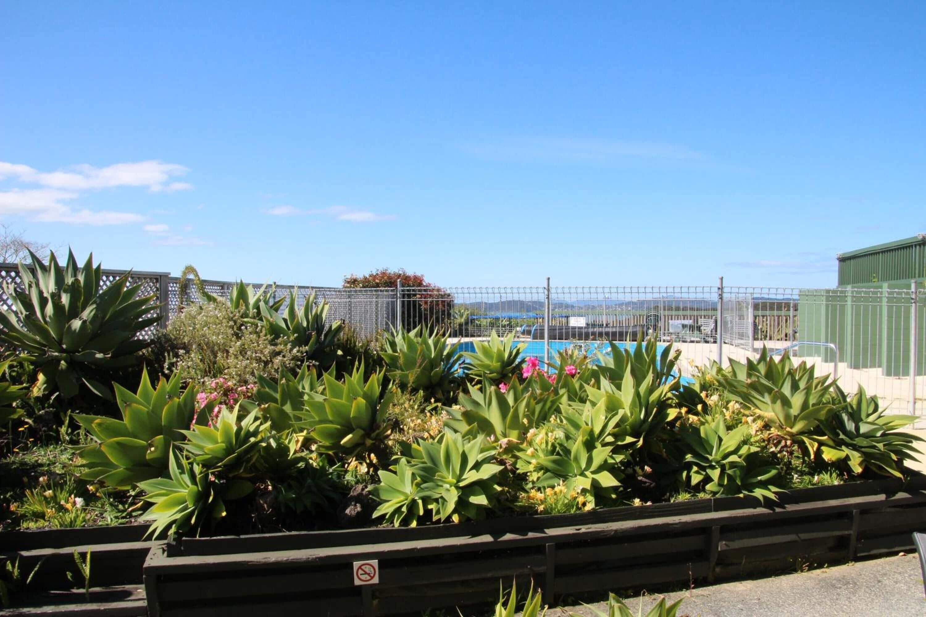A rooftop garden with various plants and a pool in the background.