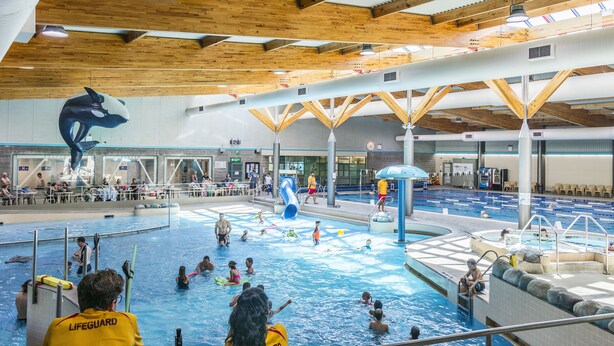 En indendørs swimmingpool med flere baner, livredderovervågning og en skulptur af en delfin.