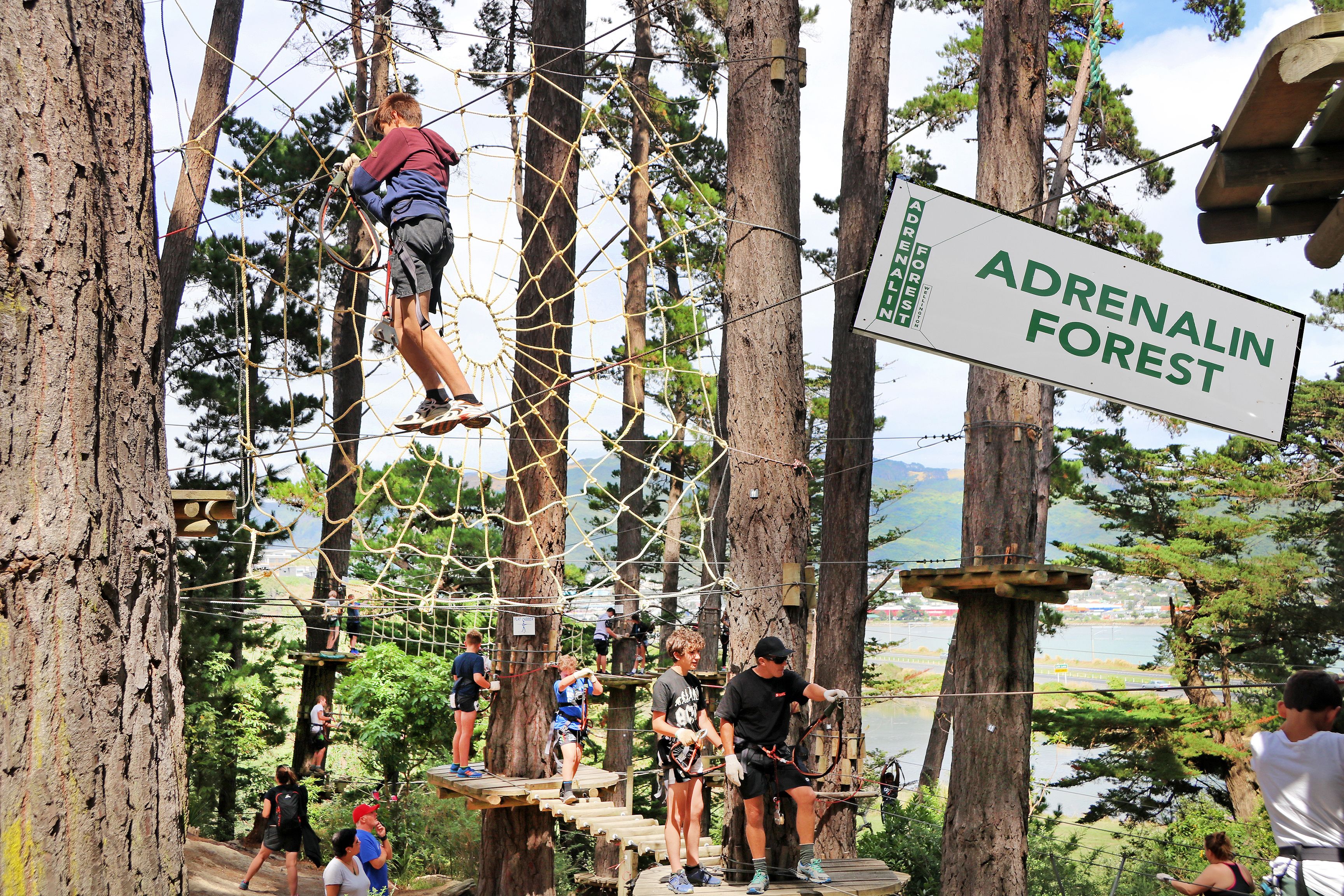 A rope bridge in a forested area with a sign reading "Adrenaline Forest".