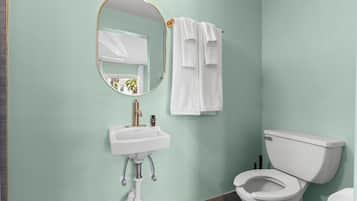A bathroom with a toilet, sink, and mirror.
