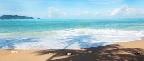 Pantai di sekitar, payung pantai, dan handuk pantai