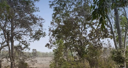 Banjaar Tola, Kanha National Park