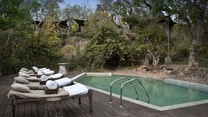 A wooden deck with lounge chairs and a swimming pool. - Banjaar Tola, Kanha National Park (Baihar)
