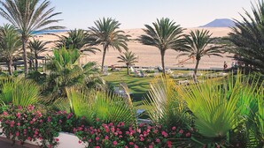 A desert landscape with palm trees and a mountain in the background.