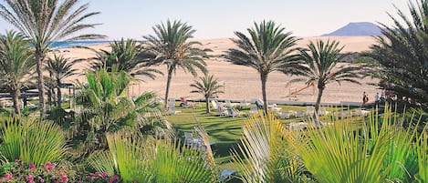 A desert landscape with palm trees and a mountain in the background.