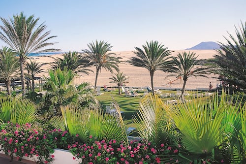 Jardin